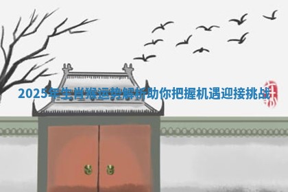 2025年生肖猴运势解析助你把握机遇迎接挑战