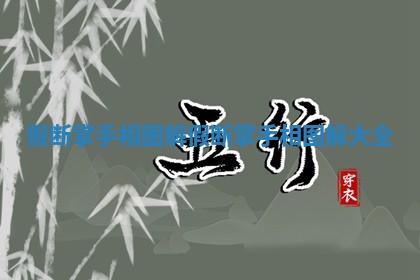 假断掌手相图解 假断掌手相图解大全