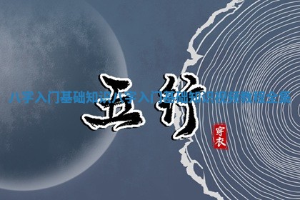 八字入门基础知识_八字入门基础知识视频教程全集