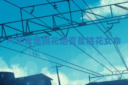 八字官是桃花运 官星桃花女命