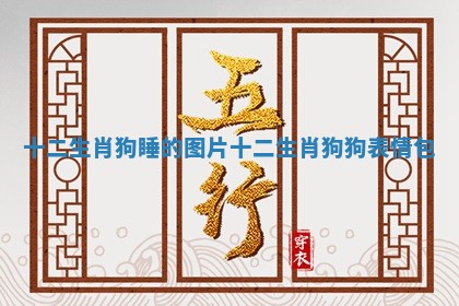 十二生肖狗睡的图片_十二生肖狗狗表情包
