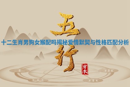 十二生肖男狗女猴配吗揭秘爱情默契与性格匹配分析