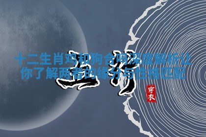 十二生肖鸡和狗合吗深度解析让你了解两者的缘分与性格匹配
