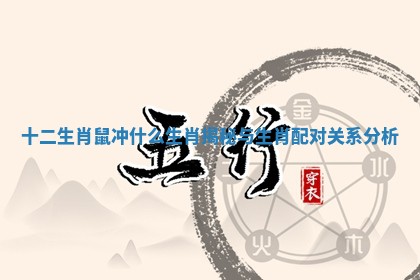 十二生肖鼠冲什么生肖揭秘与生肖配对关系分析