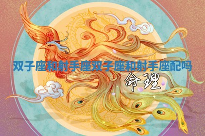 双子座和射手座 双子座和射手座配吗