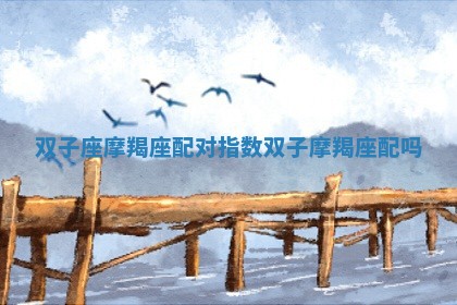 双子座摩羯座配对指数 双子摩羯座配吗 双子座摩羯座配对指数 双子摩羯座配吗