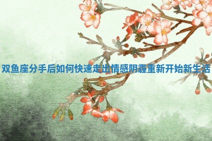 双鱼座分手后如何快速走出情感阴霾重新开始新生活