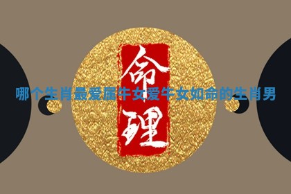 哪个生肖最爱属牛女 爱牛女如命的生肖男