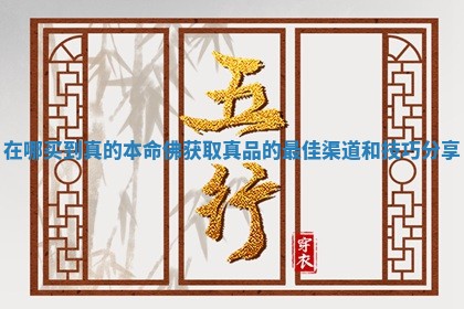 在哪买到真的本命佛获取真品的最佳渠道和技巧分享
