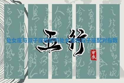 处女座与双子座相配吗 处女座和双子座配对指数