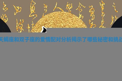 天蝎座和双子座的爱情配对分析揭示了哪些秘密和挑战