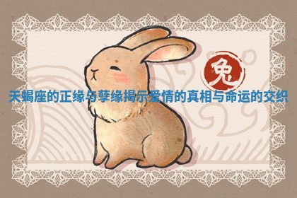 天蝎座的正缘与孽缘揭示爱情的真相与命运的交织