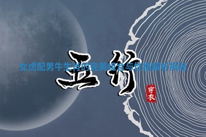 女虎配男牛生肖的完美组合与性格解析揭秘