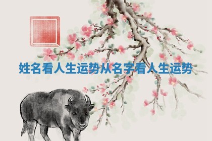 姓名看人生运势 从名字看人生运势