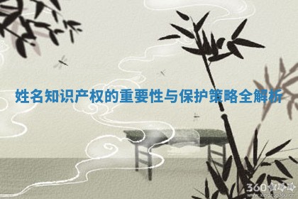 姓名知识产权的重要性与保护策略全解析