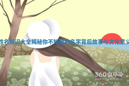 姓名知识大全揭秘你不知道的名字背后故事与文化意义