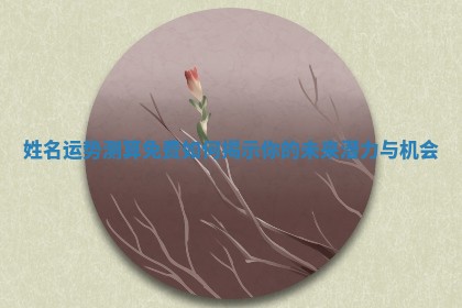 姓名运势测算免费如何揭示你的未来潜力与机会