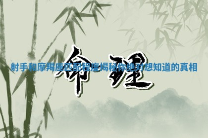 射手和摩羯座匹配程度揭秘你绝对想知道的真相