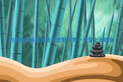 射手座和水瓶座合不合_射手男一旦爱上水瓶女