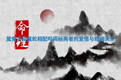 属兔子和属蛇相配吗揭秘两者的爱情与婚姻关系