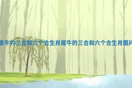 属牛的三合和六个合生肖 属牛的三合和六个合生肖图片