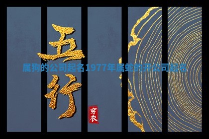 属狗的公司起名 1977年属蛇的开公司起名