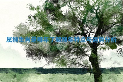 属猴生肖是哪年了解猴年特点与运势分析