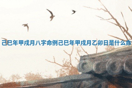 己巳年甲戌月八字命例 己巳年甲戌月乙卯日是什么命