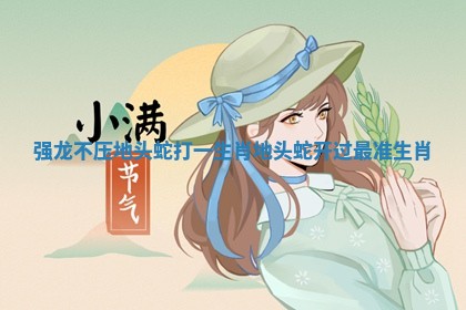 强龙不压地头蛇打一生肖_地头蛇开过最准生肖