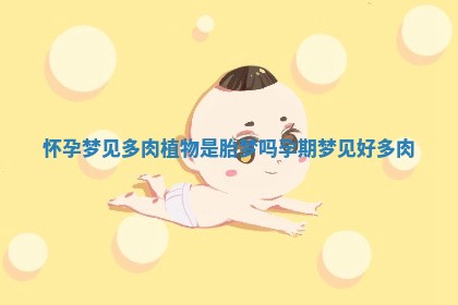 怀孕梦见多肉植物是胎梦吗 孕期梦见好多肉 怀孕梦见多肉植物是胎梦吗 孕期梦见好多肉