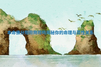 本命佛分阳符阴符吗揭秘你的命理与灵性关系