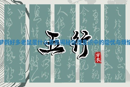 梦到好多老鼠是什么意思揭秘你潜意识中的隐忧与烦恼 梦到好多老鼠是什么意思揭秘你潜意识中的隐忧与烦恼