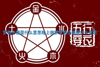 梦到小猫是什么意思 晚上做梦梦到小猫是什么意思