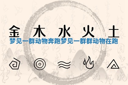 梦见一群动物奔跑_梦见一群群动物在跑