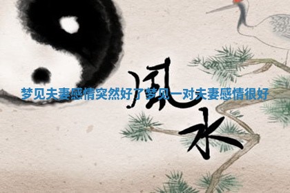 梦见夫妻感情突然好了_梦见一对夫妻感情很好