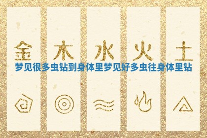 梦见很多虫钻到身体里 梦见好多虫往身体里钻 梦见很多虫钻到身体里 梦见好多虫往身体里钻