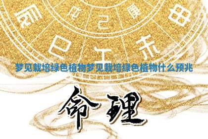 梦见栽培绿色植物_梦见栽培绿色植物什么预兆