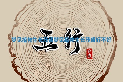梦见植物生长茂盛_梦见植物生长茂盛好不好