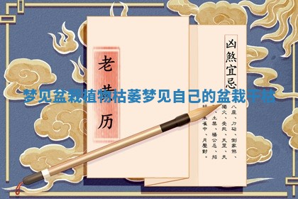梦见盆栽植物枯萎_梦见自己的盆栽干枯