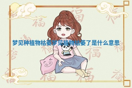 梦见种植物枯萎 梦见植物枯萎了是什么意思