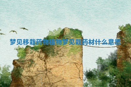 梦见移栽药物植物 梦见栽药材什么意思