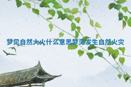 梦见自然大火什么意思 梦见发生自然火灾