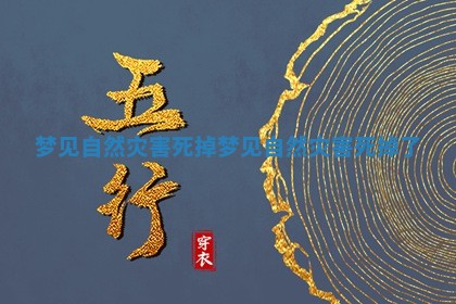 梦见自然灾害死掉_梦见自然灾害死掉了