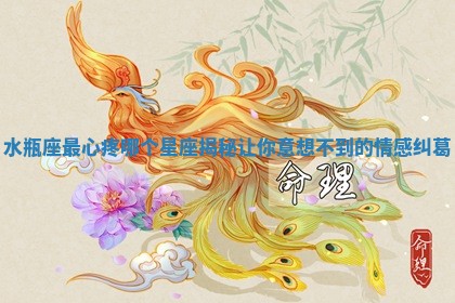 水瓶座最心疼哪个星座揭秘让你意想不到的情感纠葛 水瓶座最心疼哪个星座揭秘让你意想不到的情感纠葛