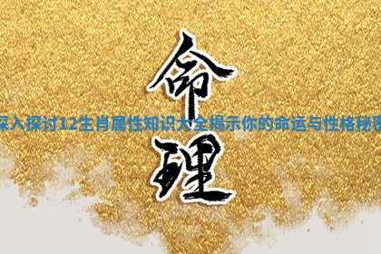 深入探讨12生肖属性知识大全揭示你的命运与性格秘密