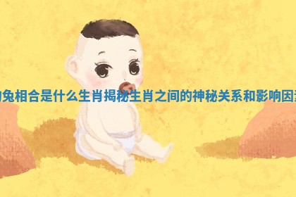 狗兔相合是什么生肖揭秘生肖之间的神秘关系和影响因素