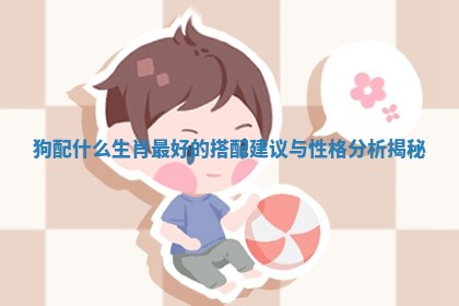 狗配什么生肖最好的搭配建议与性格分析揭秘