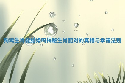 狗鸡生肖能结婚吗揭秘生肖配对的真相与幸福法则