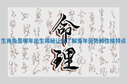 生肖兔是哪年出生揭秘让你了解兔年运势和性格特点