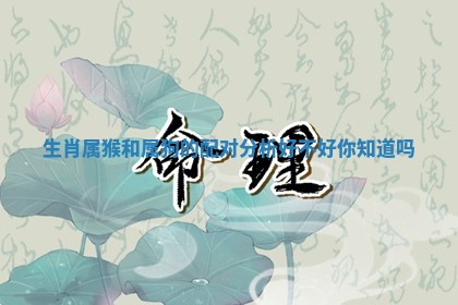 生肖属猴和属狗的配对分析好不好你知道吗